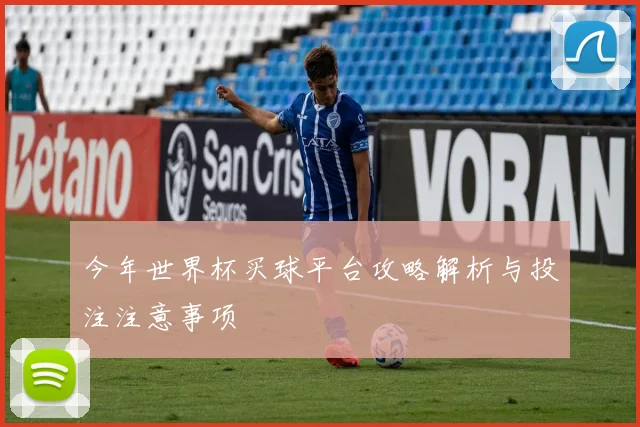 今年世界杯买球平台攻略解析与投注注意事项