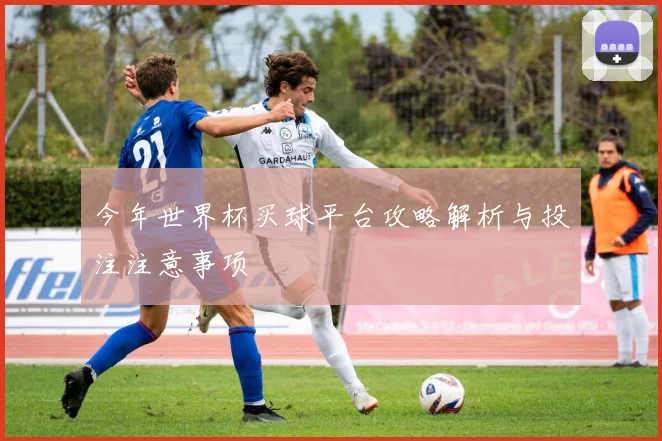 今年世界杯买球平台攻略解析与投注注意事项