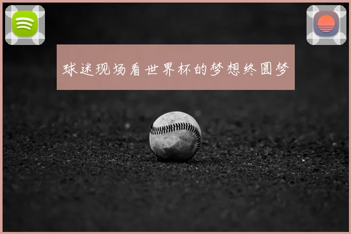 球迷现场看世界杯的梦想终圆梦