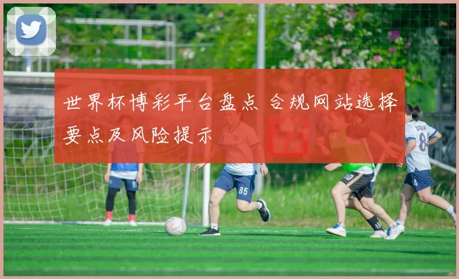 世界杯博彩平台盘点 合规网站选择要点及风险提示
