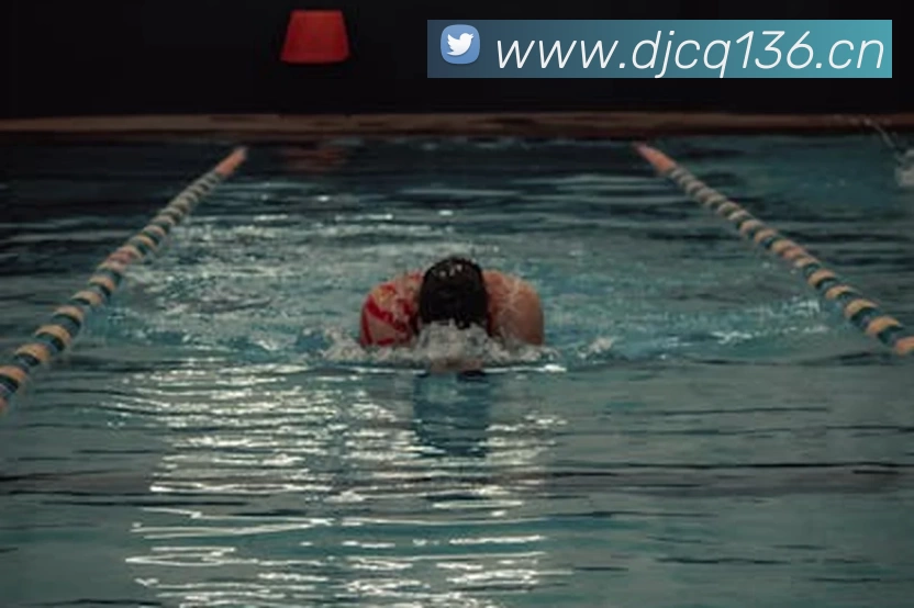 多媒体互动体验